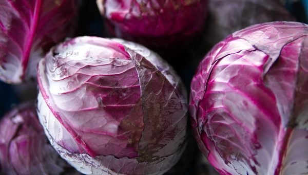 close up of fresh red cabbages