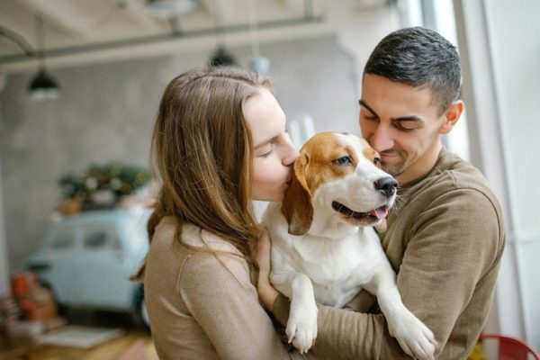 couple with beagle