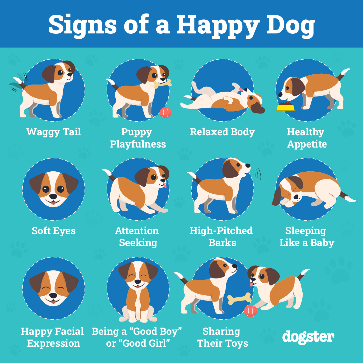 Dogster_Signs of a Happy Dog_Infographic_v1-2 FINAL_Mar 13 2024