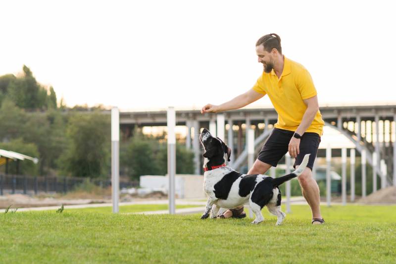 Friendship loving bond between owner and pet hunting dog