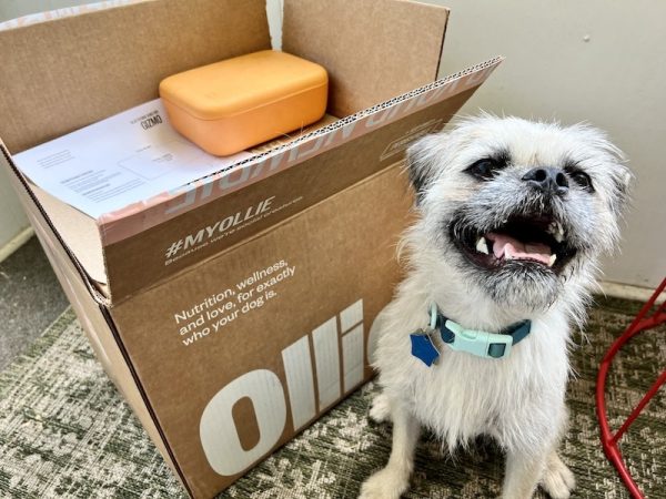 Gizmo white fluffy dog with Ollie dog food box