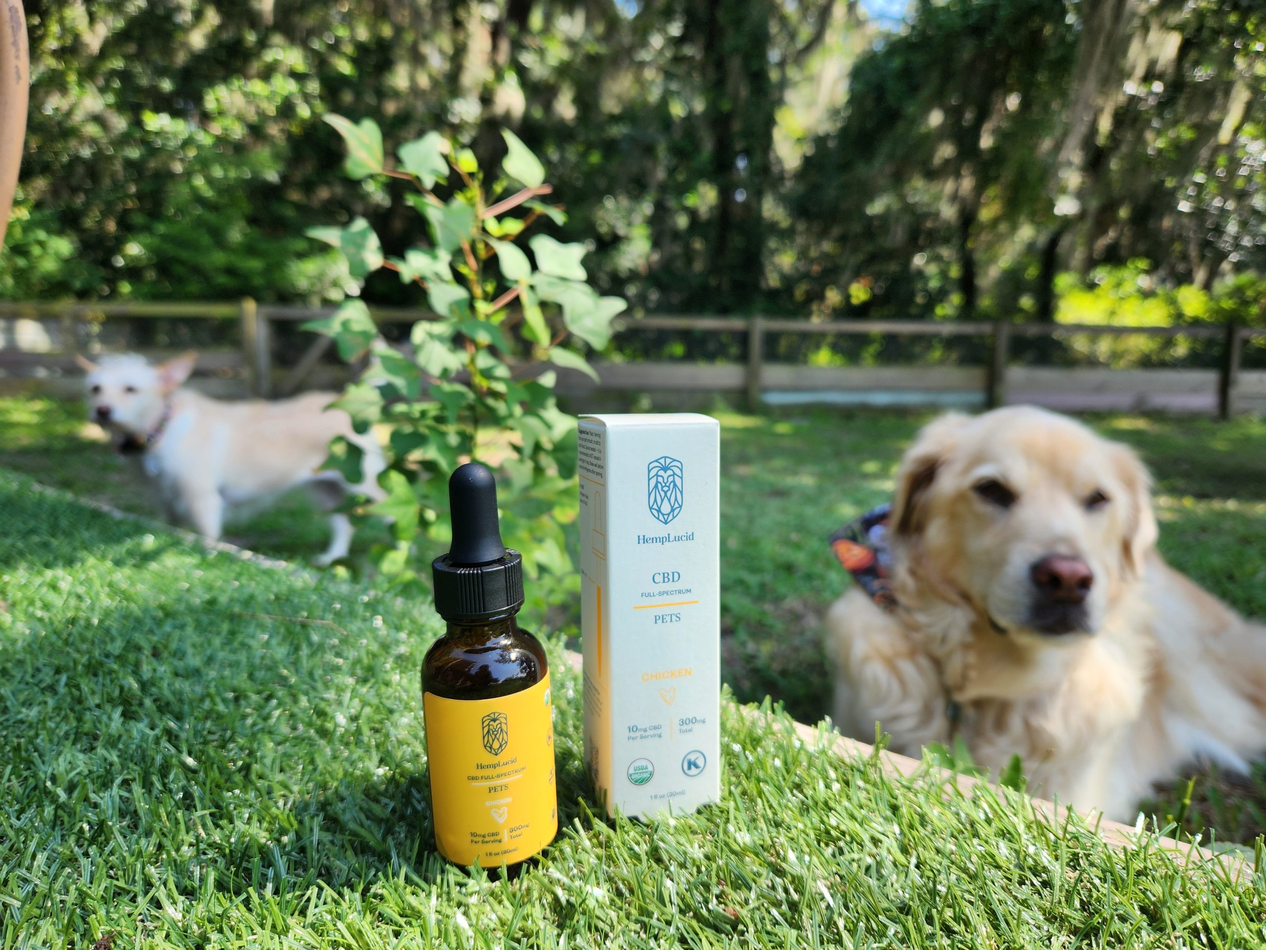 HempLucid CBD Pet Tincture