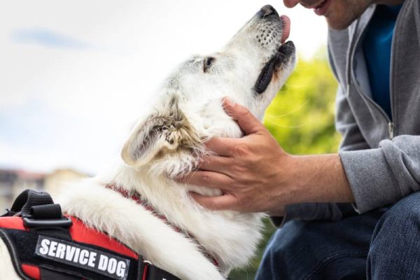 man with disability with his service dog