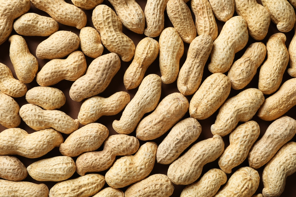 Many fresh unpeeled peanut