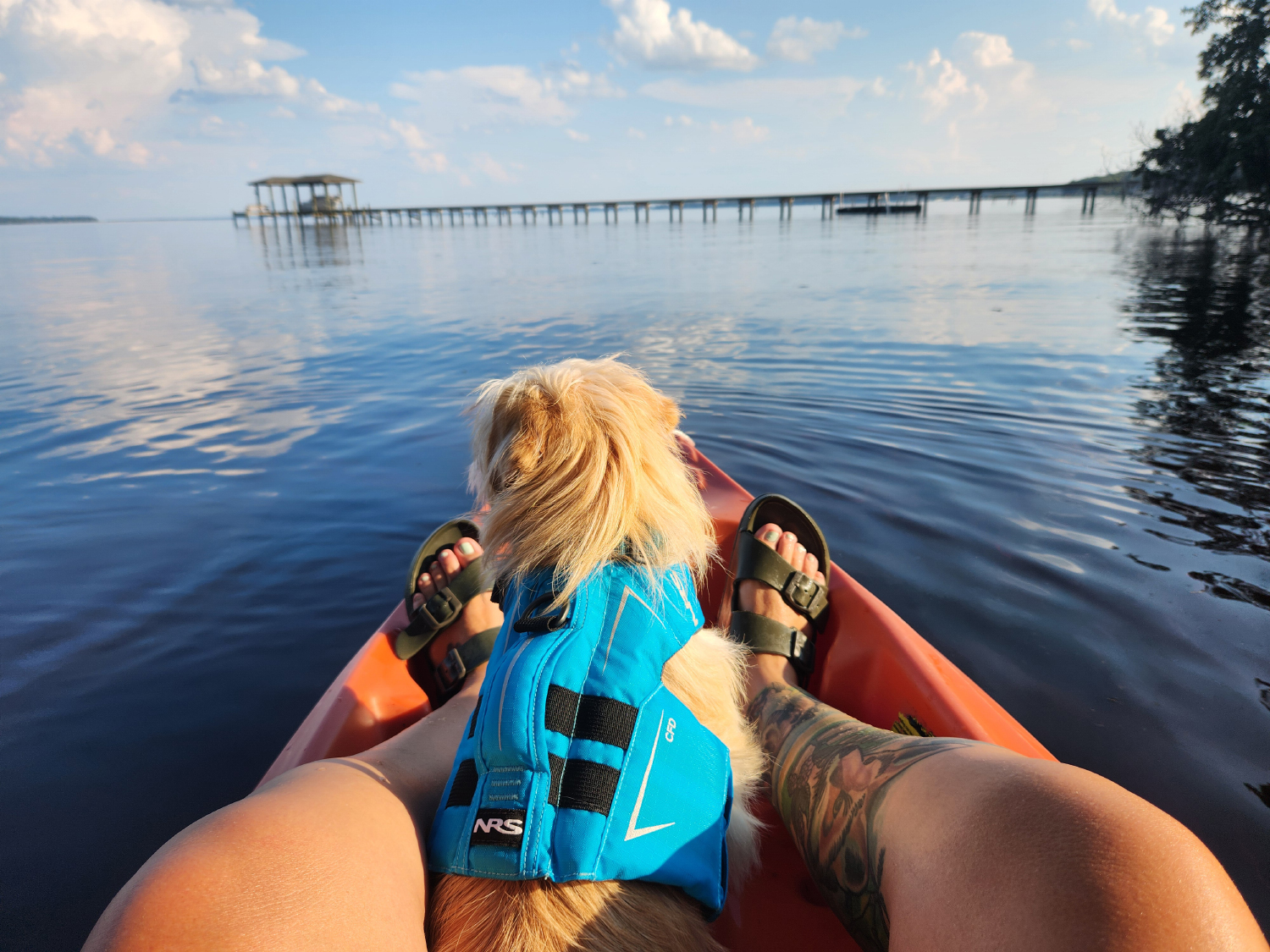 NRS CFD Dog Life Jacket - candy on the kayak with owner