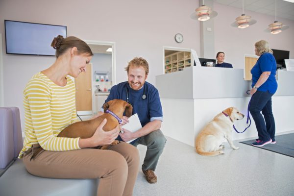 owner at the vet's waiting room