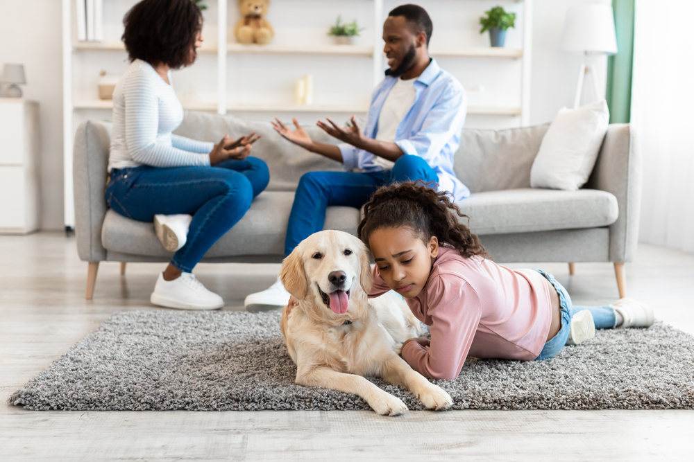 Parent fight while daughter and dog are in the same room