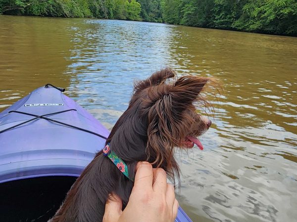 Penny's first real kayaking experience.