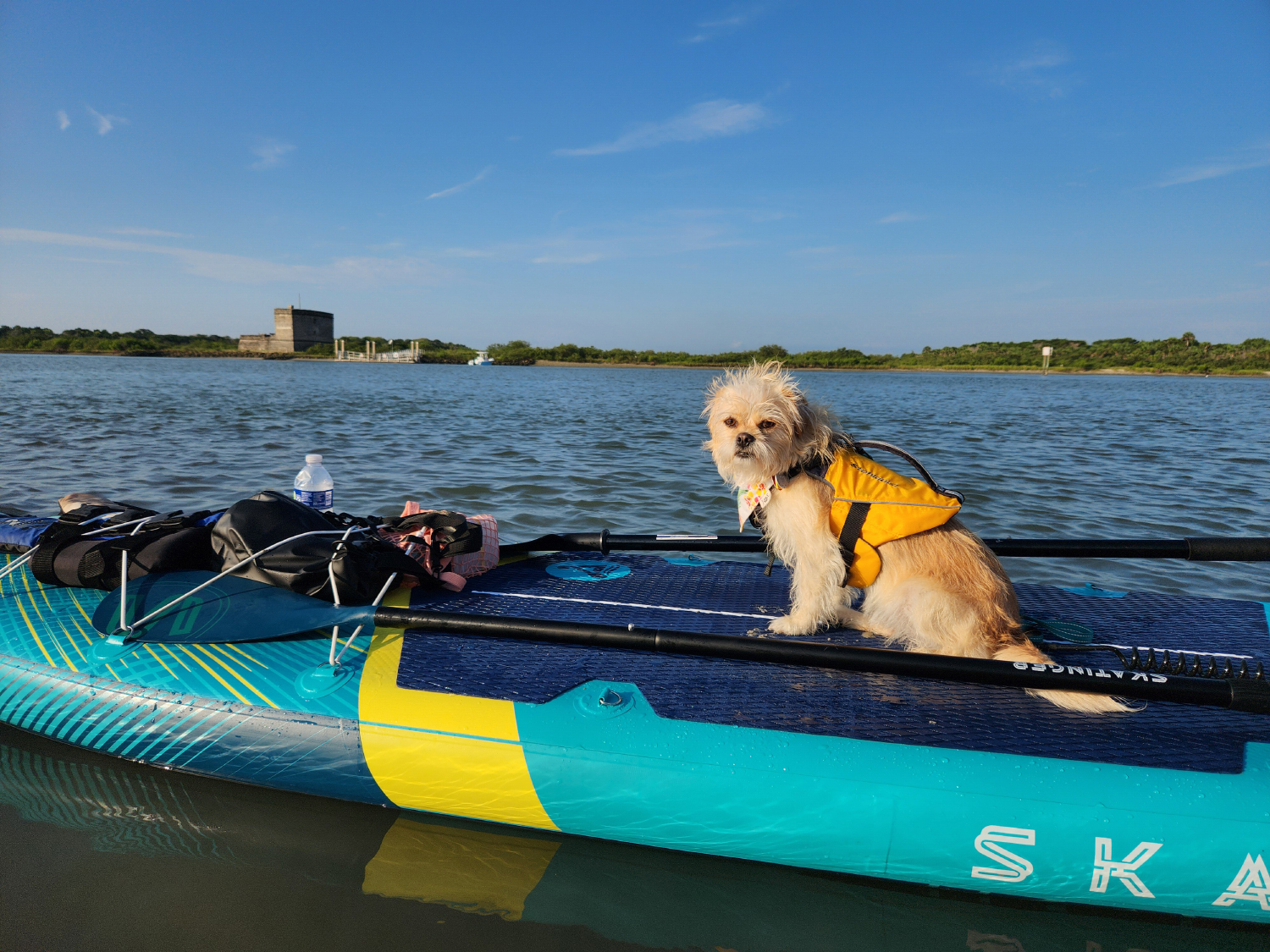 Stohlquist Dog Life Jacket - candy sitting on a paddle board