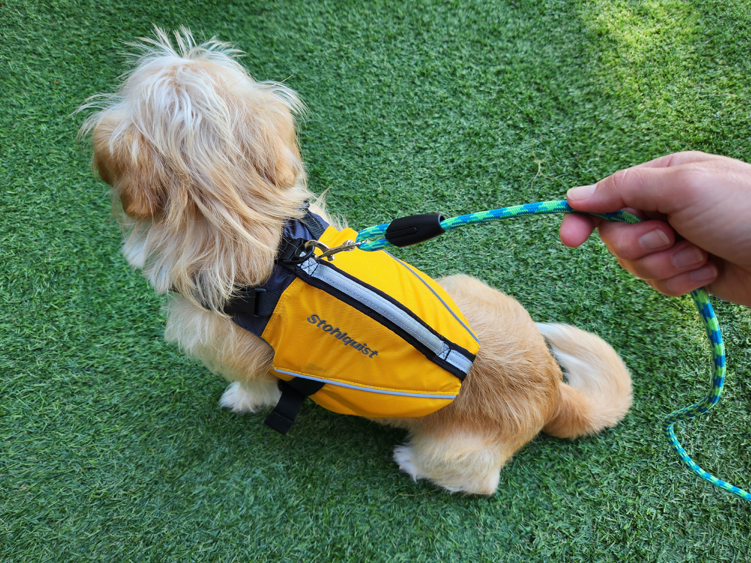 Stohlquist Dog Life Jacket - candy wearing the product with leash