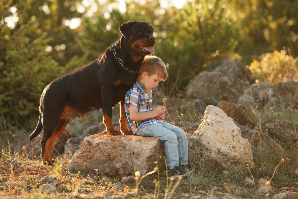 young boy with his pet rottweiler outdoors