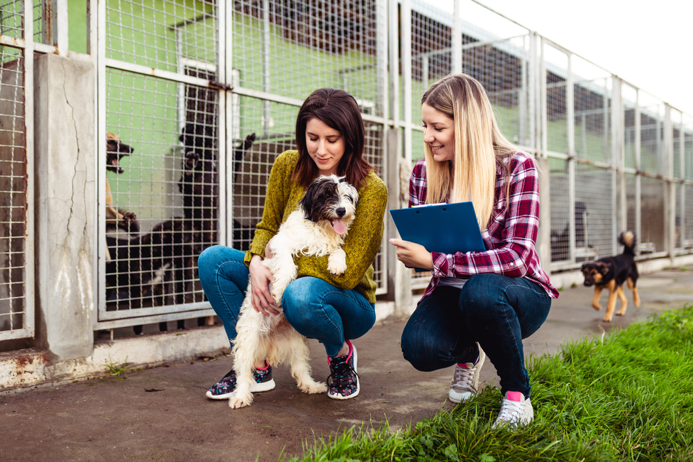 young woman and worker at a dog shelter