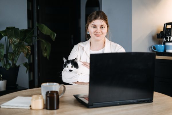 Young woman with cat and using laptop for video call meeting and telemedicine with veterinary from home