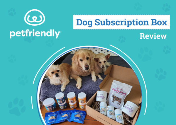 PetFriendly Dog Subscription Box