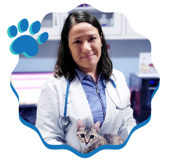 vet profile dr paola cuevas